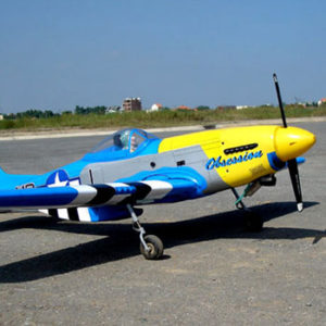 VQ Models P-51D Obsession 58.2" ARF (EP/GP)