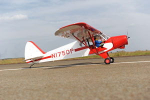Phoenix Super Cub PA-18