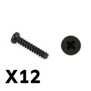 FTX Tracer Screws PBHO2.6*12MM FTX9754