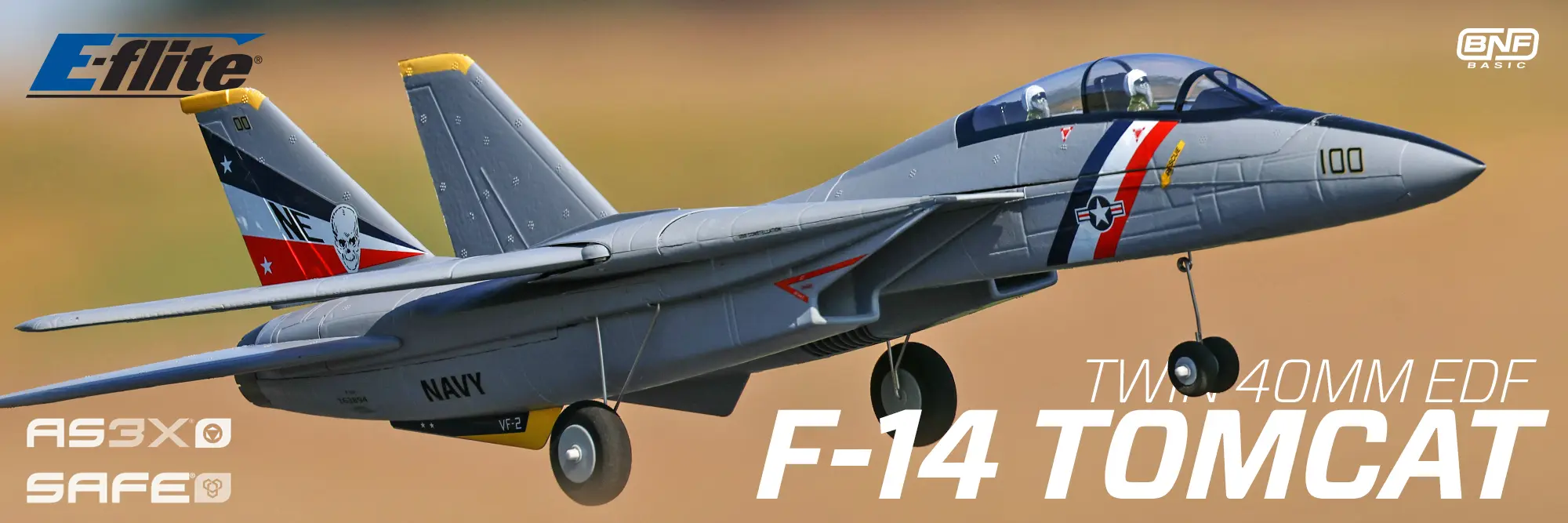 EFLITE F-14