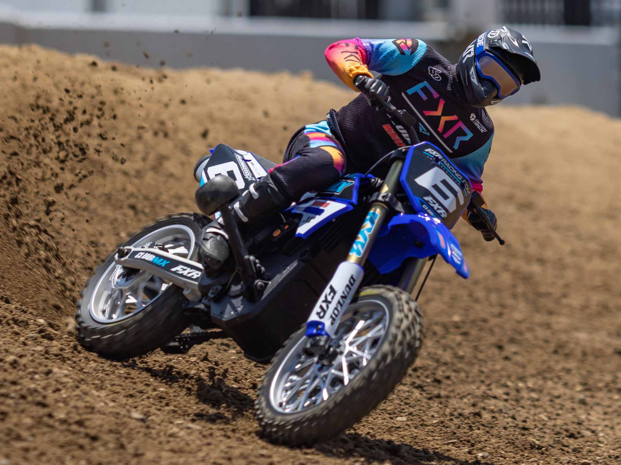 Losi 1/4 Promoto-MX Motorcycle RTR Club MX Blue C-LOS06000T2 - Image 20