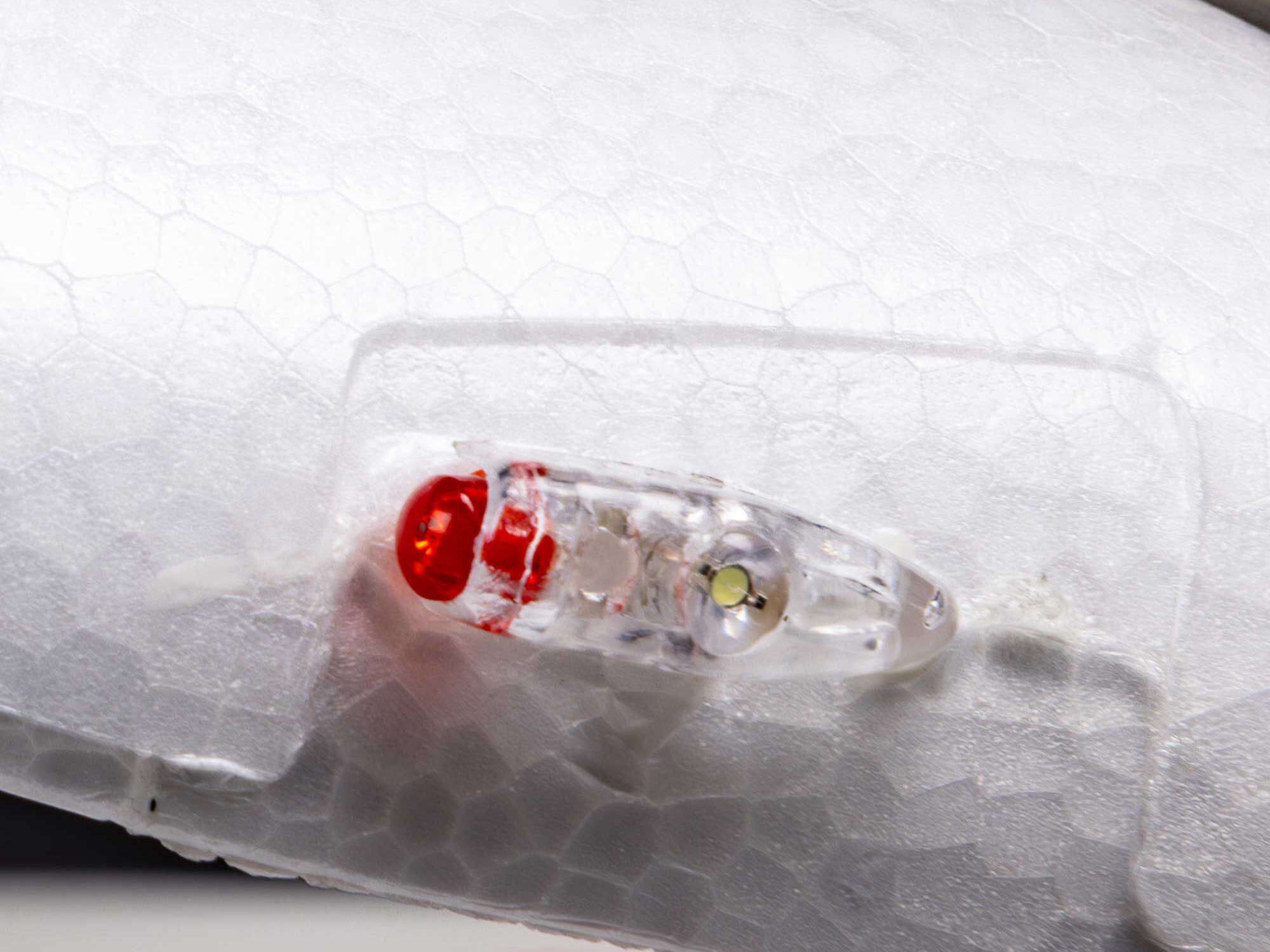 E-Flite Night Timber X Evolution 1.2m BNF Basic with AS3X+ and SAFE Select A-EFL013850