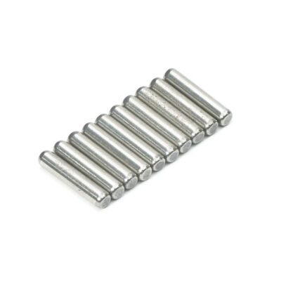 FTX RALLY PIN-2 X 10 FTX11355